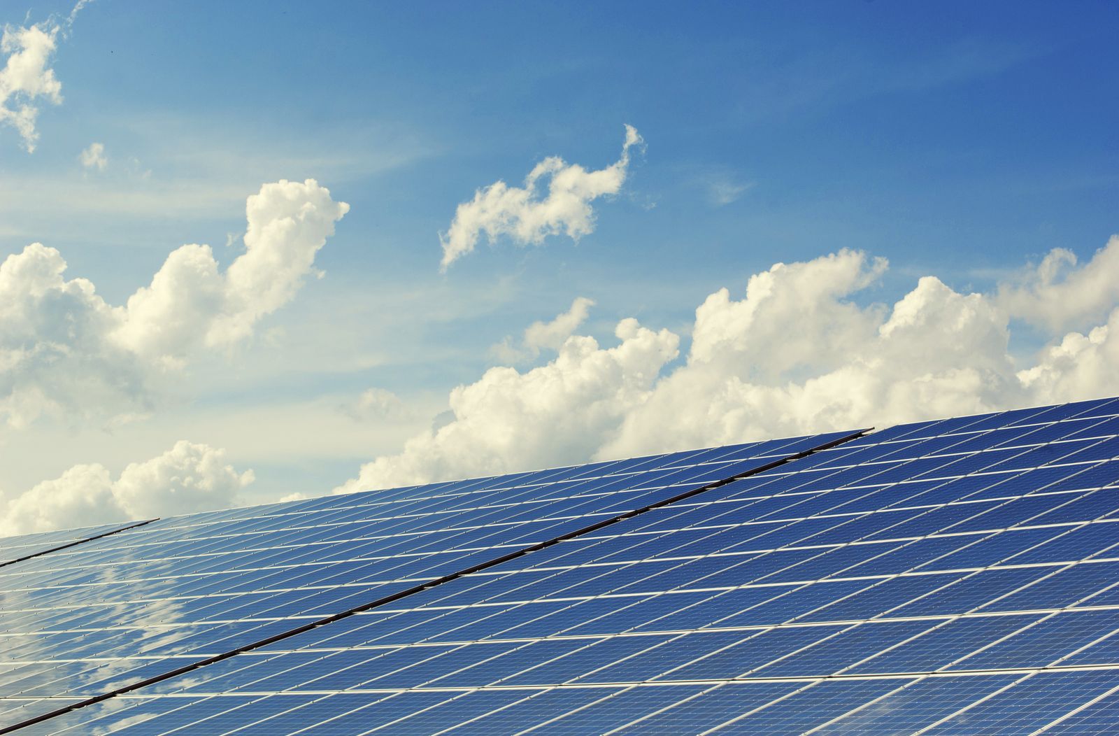 Utility-scale solar field